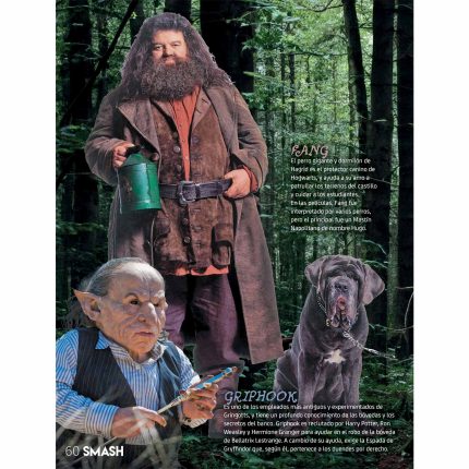 Los personajes del mudo mágico