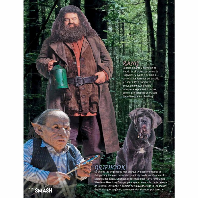 Los personajes del mudo mágico