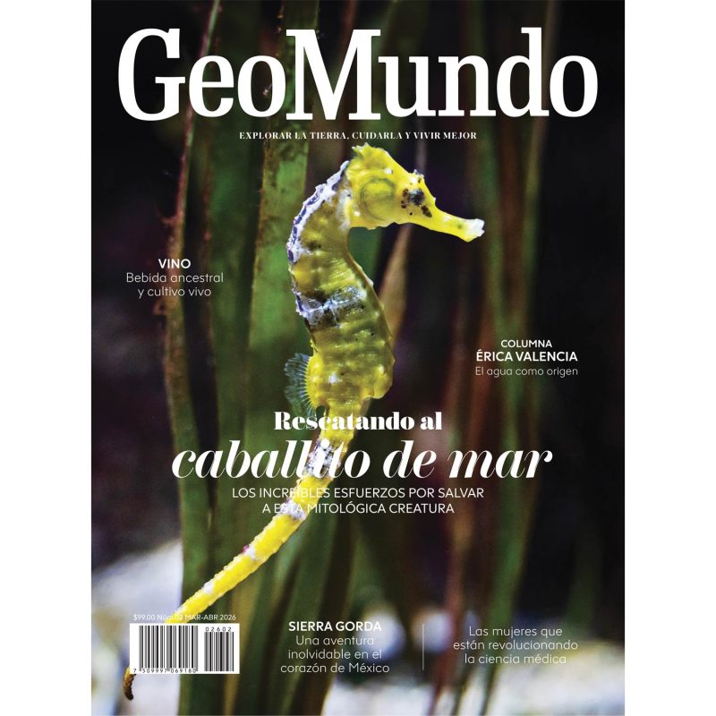 Geomundo